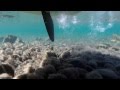 Underwater SUP camera on Tahoe