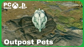 Turn Your Outpost Into A Zoo
Today we are checking out a free mod that lets you add various creatures to your outpost.
Link below to the mod
https://creations.bethesda.net/en/starfield/details/26415761-74c2-4555-bc37-caa616096003/Pets a_GRiNDTerra_Outpost_Expansion Turn Your Outpost Into A Zoo