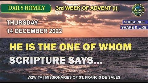 HOMILY | 15 DECEMBER 2022 | 3RD WEEK OF ADVENT I | by Fr  Diago MSFS