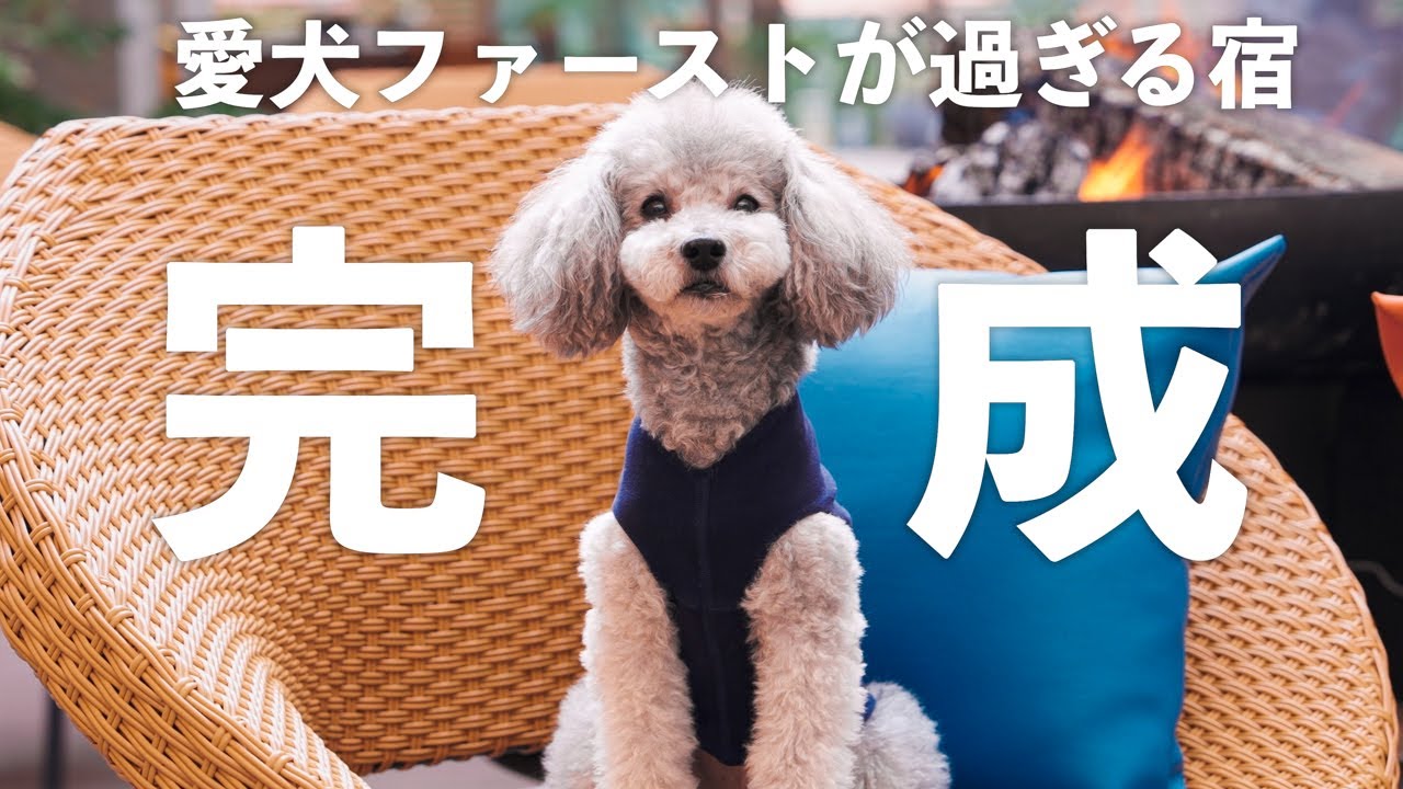 🐶愛犬と泊まれる最近できた宿「DANQOO」が理想的な愛犬宿でした、、、【宿紹介編】【ダンクー】