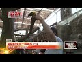 「蘭陽動植物王國」全力防颱！ 抗強風設計不敢鬆懈