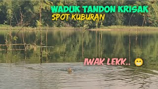 mancing di Waduk Tandon Krisak terbaru‼️ semua umpan dilibas, plung suttt #fishing #fish #mancing