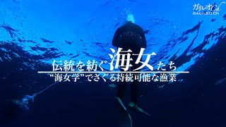 伝統を紡ぐ海女たち  ”海女学”でさぐる持続可能な漁業  | ガリレオX 第203回