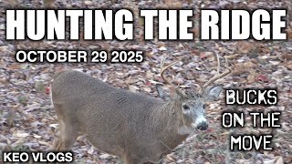 видео: Олени в движении: охота в Черри-Ридже картинка: Олени в движении: охота в Черри-Ридже