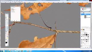 Tree Design Tutorial Using Gimp And Blender 1/3