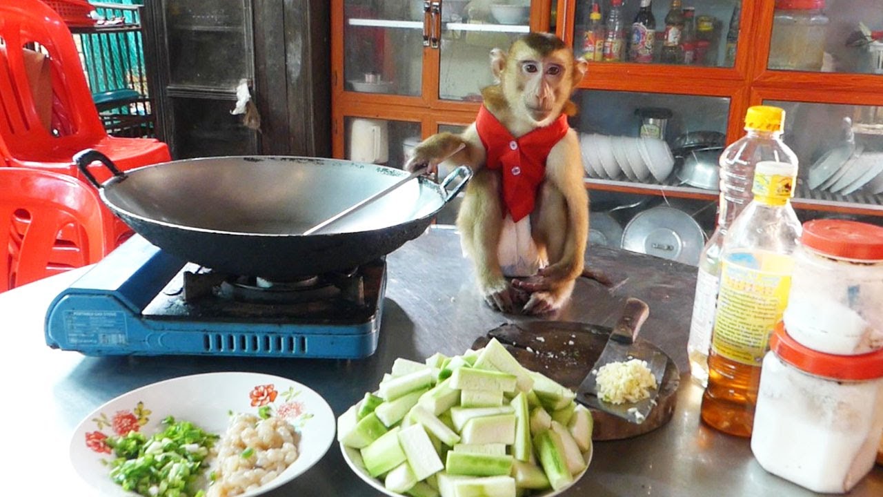 Cute Monkey!! Dodo Cooking Stir Fries Sponge Gourd With Shrimp Recipe