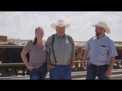 TELUS Agriculture | TELUS Feedlot - video from Crop Data Management System