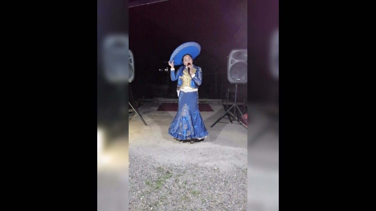 Creador De Videos De Cumpleaos Ms De 1000 Plantillas Y Creador De Videos De Cumpleaos Ms De 1000 Plantillas Y