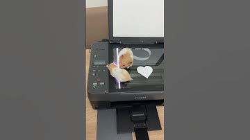 Fotokopi makinası bir anı kaydediciye dönüşebilir 😂 #youtubechamps