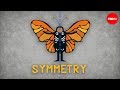 The science of symmetry  colm kelleher