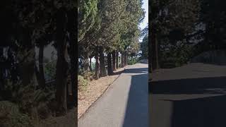 Купить однокомнатную квартиру в Ялте вторичное жилье 🤣 Доставка цветов в течение часа