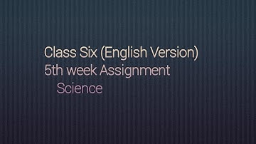 Class Six English Version assignment solution Subject science