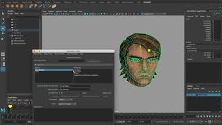 Famous Face Rig Tutorial Profile