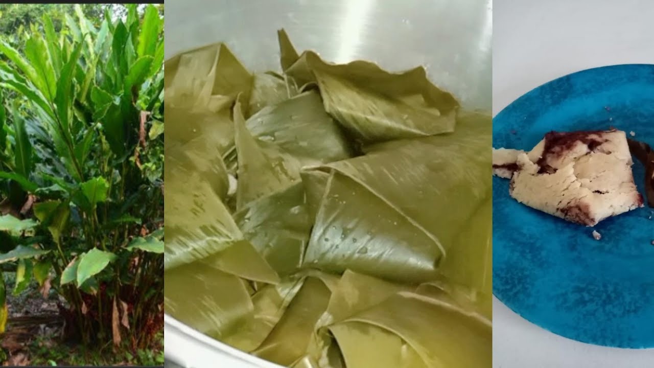 TAMALES DE FRIJOL EN HOJA DE HUILIMOLE/ SÚPER ECONÓMICOS/ RECETAS DEL