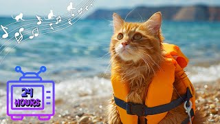 Calming Music for Cats | Make Your Cat Happy, Relaxation, Deep Sleep | Music Therapy for Cats #16 by Dream Relax My Cat 1,346 views 7 days ago 24 hours