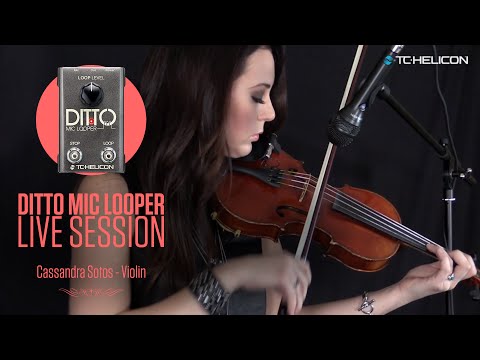 Ditto Mic Looper: Violon