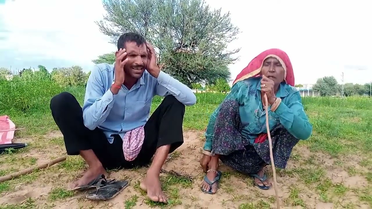 क्यारियां म रंजको बायो ए डोरा में ज्वार (राजस्थानी लोक गीत)क्यारियां म रंजको बायो ए डोरा में ज्वार