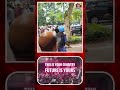 ఢిల్లీలో ఆగ్రహజ్వాలలు.. వైరలవుతున్న KCR మాటలు🔥💥| KCR Powerful Statements on Youth Goes Viral | CJP