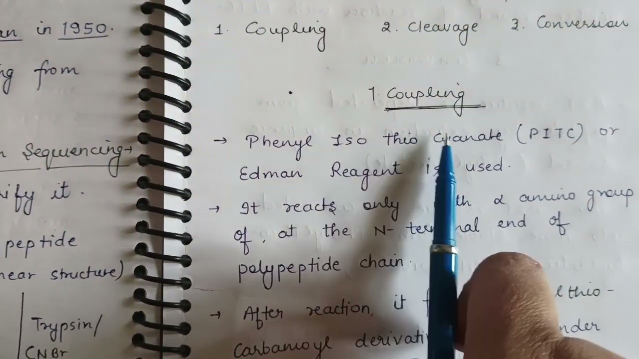 Edman Degradation Method of Protein Sequencing
