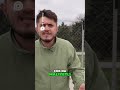 Atlarla Şehirde Gezmek Ekonomik Çözüm!