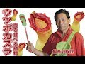 咲くやこの花館館長の食虫植物など解説！ の動画、YouTube動画。