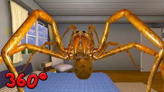 360° VR encontre una araña gigante - en mi casa | arachnophobia