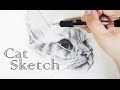 Cat Sketch「 Realistic Cat Drawing 」Draw a Cat  - 貓 素描 手繪 畫 Dessiner un Chat 鉛筆畫