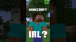 How Would It Be To Play Minecraft In Real Life?