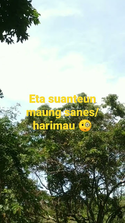#shorts main di alam ada suara maung/Harimau 😱