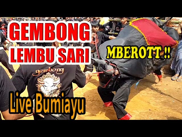 FULL KALAP BANTENGAN GEMBONG LEMBU SARI FEAT BANTENGAN PUTRA AREMA LIVE JL. KAPRI BUMIAYU class=