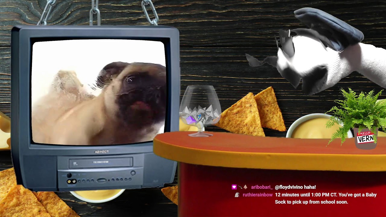 The Sock Cop Show! What's for lunch?