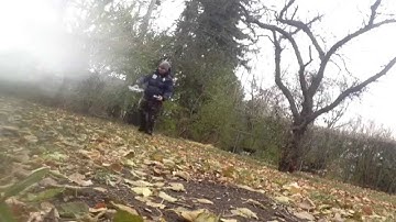 Syma X5C-1 drone got stuck in a tree