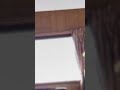 ひな祭りに撮影された謎の物体はオーブか？それとも虫なのか？