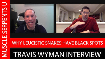 SNAKE GENETICS EXPLAINED: TRAVIS WYMAN INTERVIEW