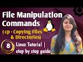Linux cp Command Explained | Copy Files & Directories in Linux (Beginner Friendly)