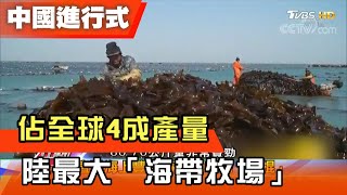 佔全球4成產量 陸最大「海帶牧場」 中國進行式 20210424