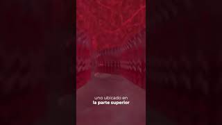 Deambulando en el Vacío Rojo Un Mod Minimalista #Doom #ModsDoom #Videojuegos #Gaming #Mods #Doom199