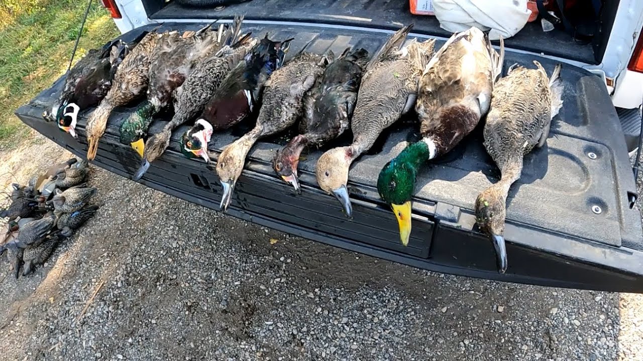 ОТКРЫТИЕ УТИНОЙ ОХОТЫ В ВЫХОДНЫЕ 2025 ГОДА (ограничение для 2 человек)