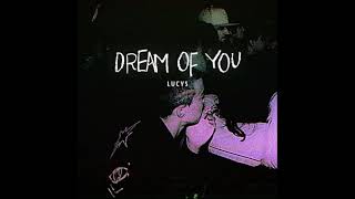 Lucys: "Dream of you"