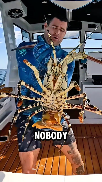 Lobsters That Outlive Humans 😨 #lobsters #animals #shorts