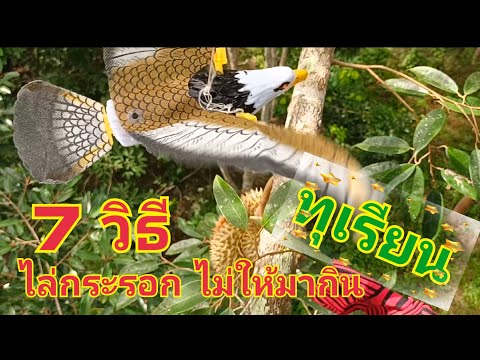 วีดีโอ: 7 วิธีในการผลิตยาฆ่าแมลงจากธรรมชาติ