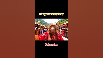 Bandar Gaya Vaishnodevi Ke Mandir 😂🐒 #aivlog #viral #monkeyvlog #bablu #shorts #ai #monkey