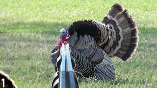 OPENING Weekend GOBBLER Down! | Turkey Hunting with a 28 Gauge