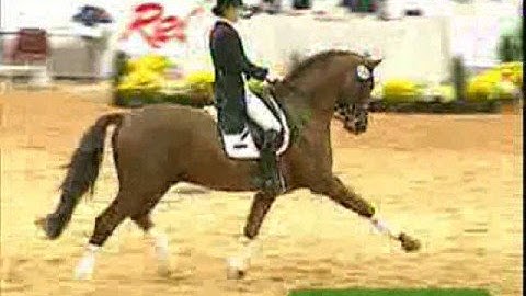 New Intro? Tell Me What You Think!