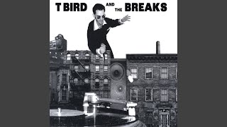Video thumbnail of "T Bird and the Breaks - Blackberry Brandy"