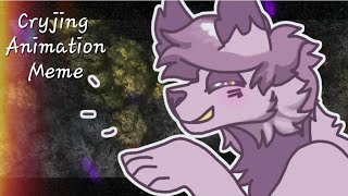 Cryjing Animation meme #animationmeme #animation