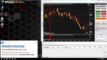 BlackBird Workshop - Implementing a Scale-in Contract Overview