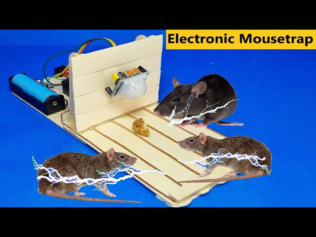 How to make High Electric Trap Mouse at Home  Electricity, Electronics  projects diy, Mouse trap diy