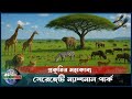 আফ্রিকার বন্যপ্রাণীর স্বর্গ | সেরেঙ্গেটি জাতীয় উদ্যান | Serengeti National Park | Tanzania