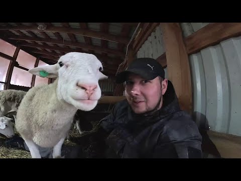 СКОЛЬКО МОЖНО ? МАМА РАБОТАЕТ БЕЗ ПЕРЕРЫВА ! ЖИВУ НА ХУТОРЕ №308